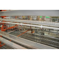 Agricultural Tool Battery Layer Broiler Chicken Cage on Sell